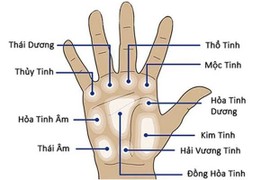 Nhìn dáng bàn tay phụ nữ, biết ngay số mệnh tài ba, hậu vận sung sướng 