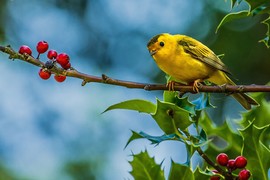 Ai sinh ngày Âm lịch này có trách nhiệm với gia đình, phúc khí dồi dào