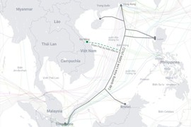 Ông lớn Internet Việt Nam đầu tư tuyến cáp quang biển mới