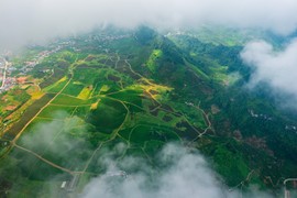 Mùa hái chè ở Mộc Châu, du khách săn hoàng hôn đẹp "tê lòng"