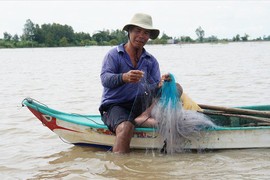 Chơi vơi mùa nước nổi: Đồng Tháp Mười đói tôm, cá