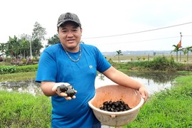 Chàng trai Quảng Trị “giấu” hàng trăm triệu đồng dưới ao đất