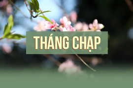 Vì sao tháng 12 âm lịch gọi là tháng Chạp? 