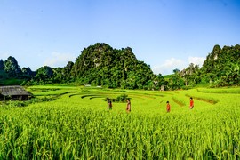 Chơi đâu, ăn gì khi khám phá Điện Biên?