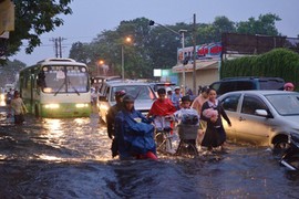 Miền Nam thiếu kinh nghiệm chống bão