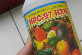 Mục sở thị hóa chất làm chín trái cây siêu tốc