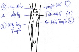 Cách xoa bóp, bấm huyệt trị thoái hóa khớp gối