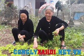 Chuyện cổ tích của hai người phụ nữ chung chồng suốt nửa thế kỷ