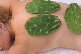 Kỳ lạ massage dưỡng da bằng cây xương rồng