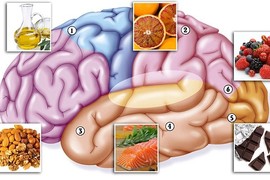 Top thực phẩm bổ não giúp phòng bệnh mất trí nhớ 