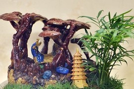 Ngắm nấm linh chi bonsai bạc triệu chơi Tết tuyệt đẹp