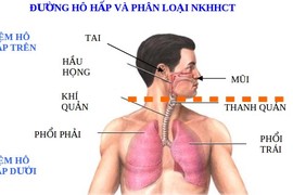 Bộ phận cơ thể nào bị thuốc lá tàn phá mạnh nhất?