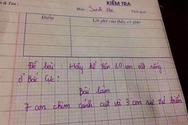 Đọc đáp án bài kiểm tra, cô giáo không biết phải chấm sao