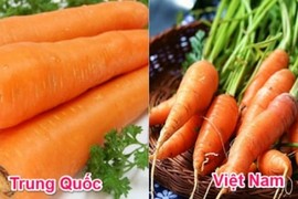 20 cách phân biệt rau củ Trung Quốc và Việt Nam, nắm chắc để tránh mua nhầm