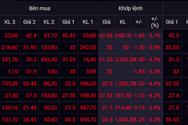 Cổ phiếu ngân hàng bị bán tháo, VN-Index mất hơn 13 điểm