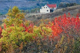 Cảnh sắc trời thu đẹp hút hồn ở Crimea