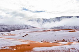 Tuyết phủ trắng sa mạc Sahara và lời cảnh báo từ thiên nhiên 