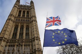 Thủ tướng Anh sẽ làm gì nếu bị bác khung thời gian Brexit?