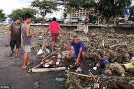 Toàn cảnh bão Phanfone càn quét, Philippines tan hoang dịp Giáng sinh