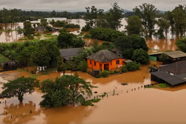 Mưa lũ kinh hoàng ở Brazil, hàng chục người thiệt mạng