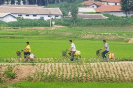 Kinh ngạc cảnh bình dị về cuộc sống ở thôn quê Triều Tiên 