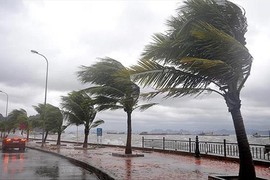 Philippines đóng cửa trường học, hủy các chuyến bay do bão Julian 