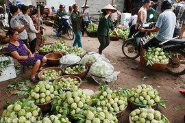 Hình ảnh ấn tượng trong chợ na lớn nhất miền Bắc