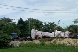 Quảng Ngãi: Tạm giữ xe chở cây “siêu khủng” sau hai ngày truy tìm