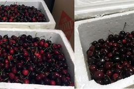 Cảng hàng không Nội Bài lên tiếng vụ tố cherry hao hụt