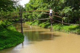 Cháy lớn ở làng du lịch Tiền Giang, nhiều du khách hốt hoảng