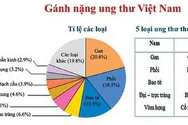 13 bệnh ung thư nguy hiểm do hút thuốc lá