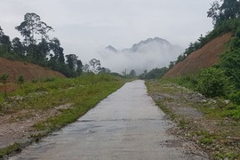 Lạ kỳ Thái Nguyên: Làm đường, xây chùa chồng lên đất rừng