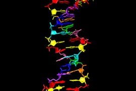 Truy tìm sự sống ngoài hành tinh từ DNA "8 chữ cái"