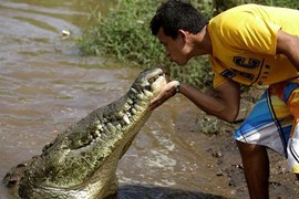 Rợn người cảnh hôn hít cá sâu hút khách du lịch