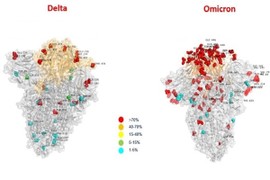 Italy công bố ảnh so sánh đột biến của biến chủng Omicron và Delta