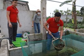 Đi ăn gọi món bị ‘hết hàng’, bực mình bỏ về quê thành tỷ phú ốc nhồi