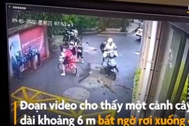 Video: Cành cây rơi xuống đường đâm thủng cốp xe tay ga