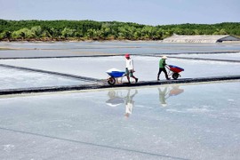 Về ấp Thiềng Liềng, săn ảnh đồng muối, trải nghiệm du lịch cộng đồng