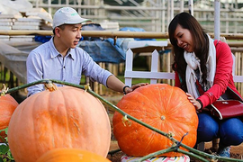 Những điểm check-in thú vị ở Đà Lạt