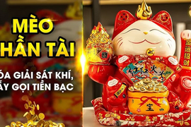 Mèo Thần Tài có quy tắc tay trái - tay phải: Đặt sai mất lộc