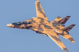 Iran quyết tâm sao chép "Mèo đực" F-14 của Mỹ: Liệu có thành công?