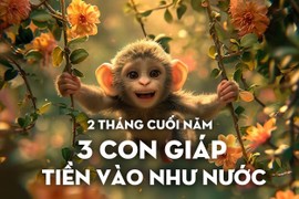 2 tháng cuối năm, 3 tuổi Thần Tài điểm danh, tiền vào ào ào