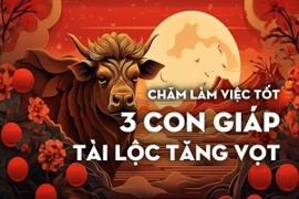 Chăm làm việc tốt, cuối năm 3 con giáp này tài lộc tăng vọt