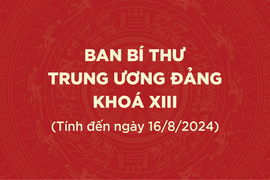 [Infographic] Ban Bí thư Trung ương Đảng khóa XIII