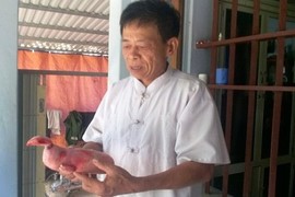 Lợn đẻ ra ''quái thú'' xôn xao dư luận ở Thanh Hóa