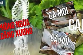 6 thực phẩm ngăn ngừa loãng xương bạn nên biết