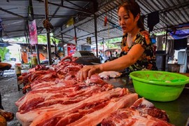 Giá lợn hơi tăng nóng, “ông lớn” ngành chăn nuôi lãi đậm