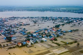 Vựa hoa lớn nhất Nam Định ngập trong biển nước “mất trắng” tiền tỷ