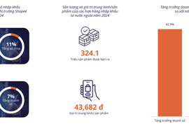 Doanh thu sàn thương mại điện tử Việt Nam “bứt phá” trong năm 2024