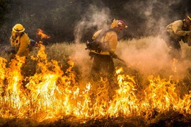 Cháy rừng dữ dội ở California, hàng nghìn người sơ tán